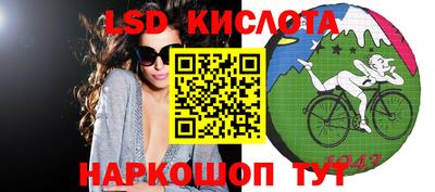 прущие грибы Гатчина