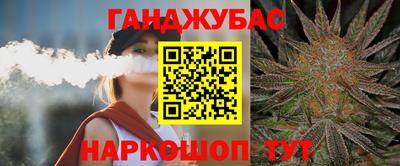 прущие грибы Гатчина