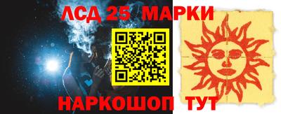 прущие грибы Гатчина