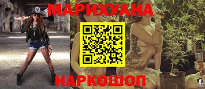 прущие грибы Гатчина