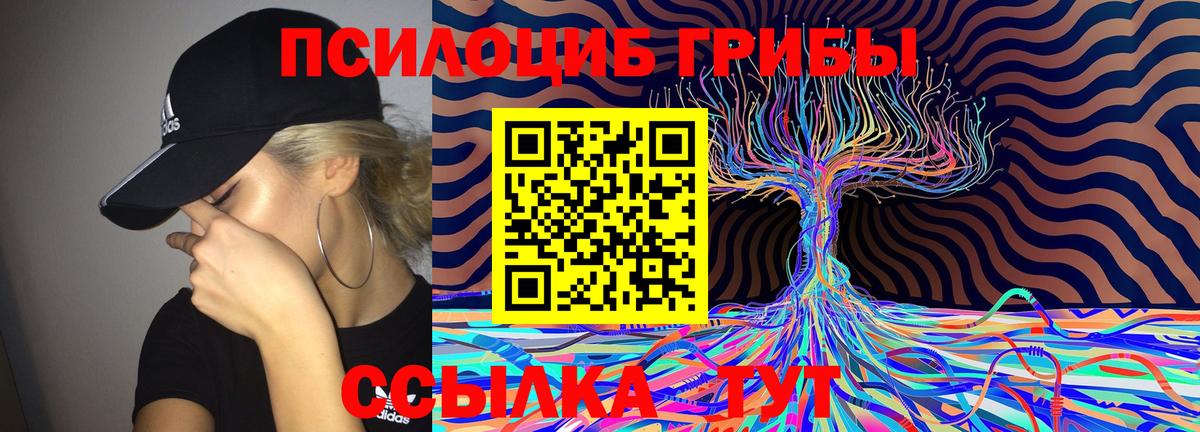Мурманск  Псилоцибиновые грибы Magic Shrooms  Вход с VPN 